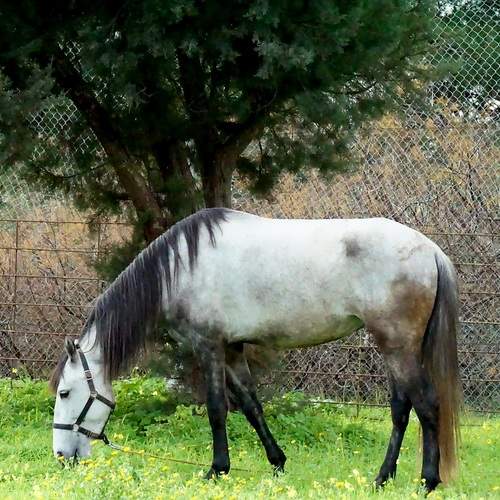 Photo #13080876