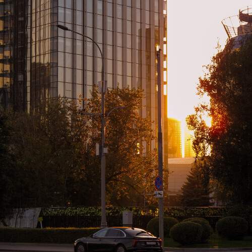 Photo #13080879