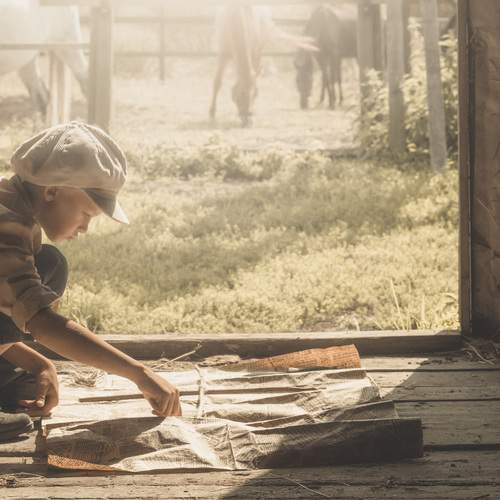 Поймать ветер