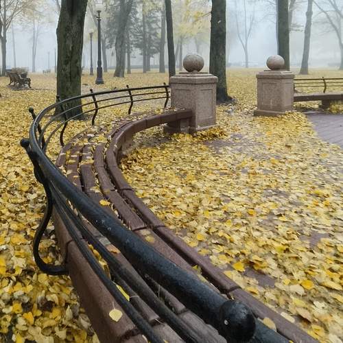 Photo #13081147