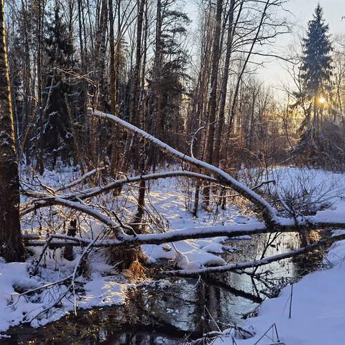 Фотография #13081212