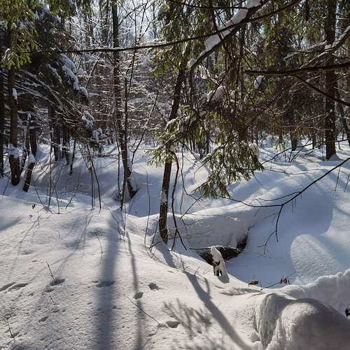 Фотография #13081213