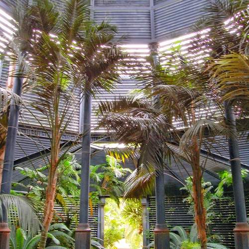 Photo #13081382