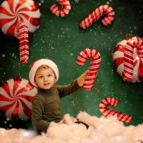 Photo #13081580