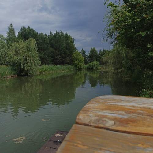 Photo #13081613