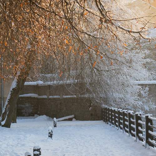 Photo #13081615