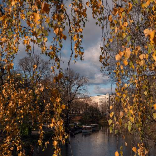 Photo #13081633
