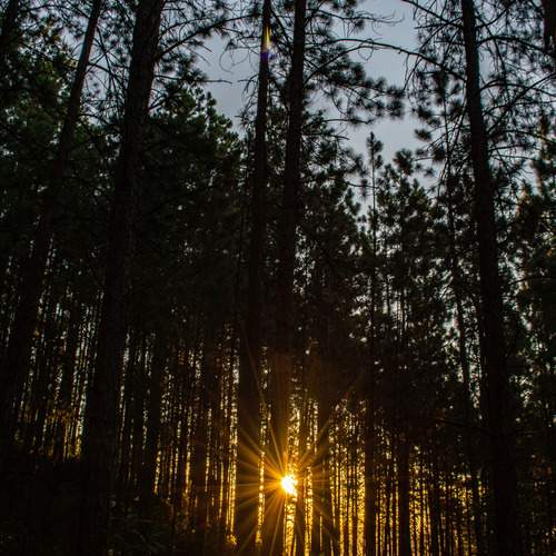 Photo #13081672