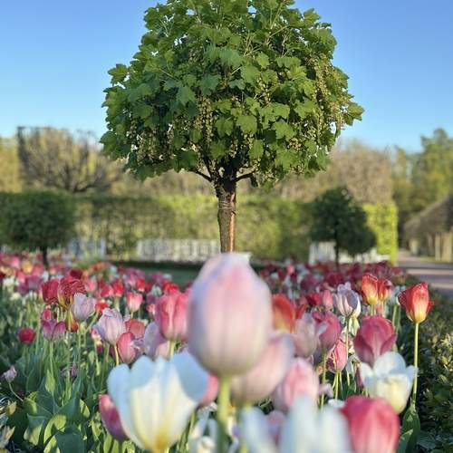 Photo #13081732