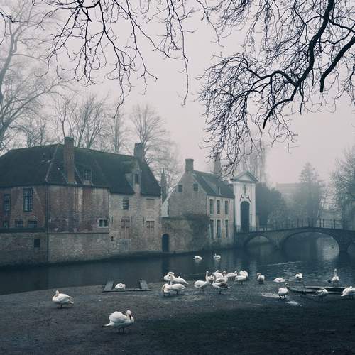 Photo #13081781