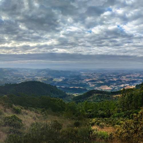 Photo #13081790