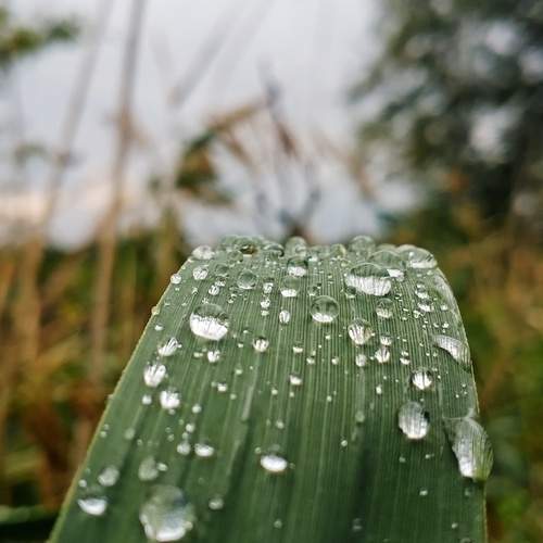 Photo #13081844