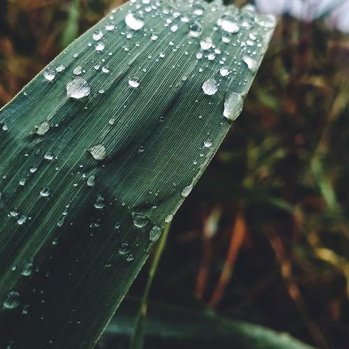 Photo #13081845