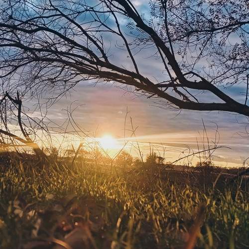 Photo #13081847