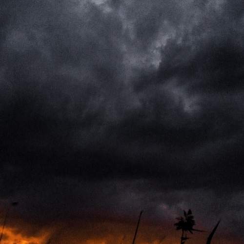 Photo #13081849