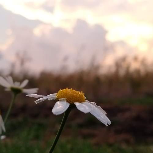 Photo #13081850