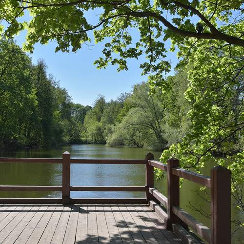 Photo #13081865