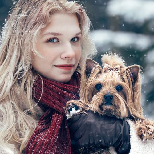 Photo #13081926
