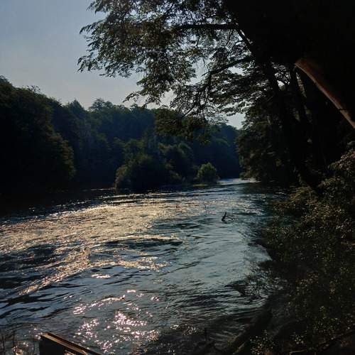 Photo #13082004
