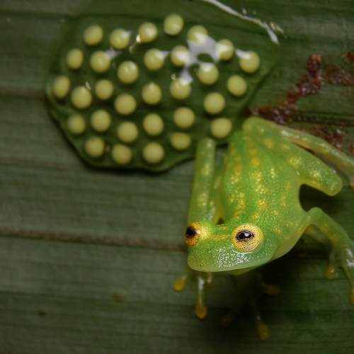 Photo #13082044