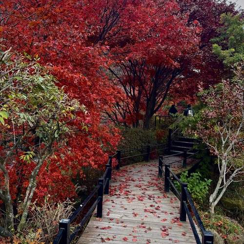 Photo #13082051