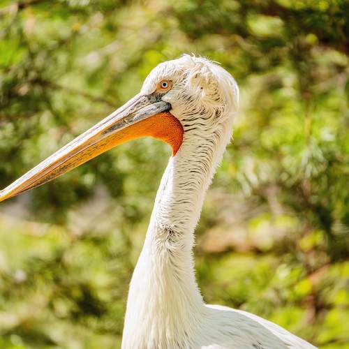 Photo #13082058