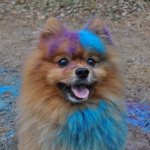 Photo #13082182