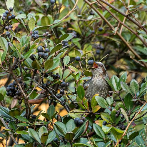 Фотография #13082245