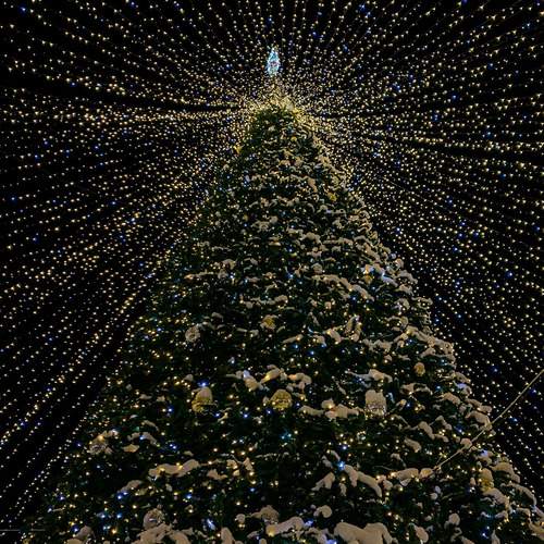 Photo #13082345