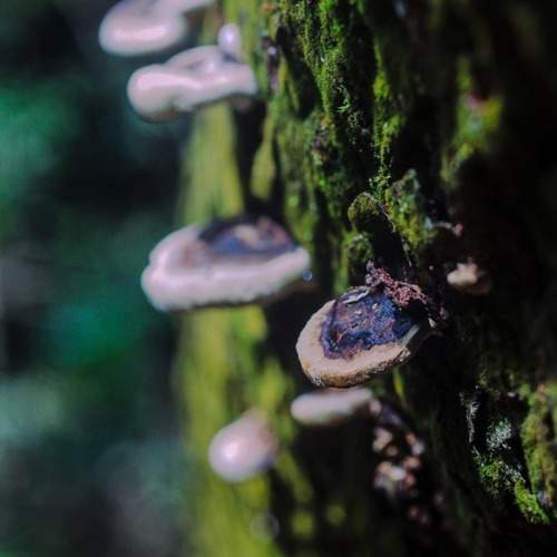 Photo #13082409