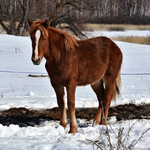 Photo #13082465