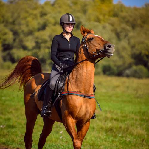 Photo #13082466