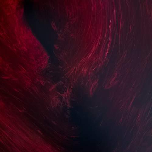 Photo #13082748