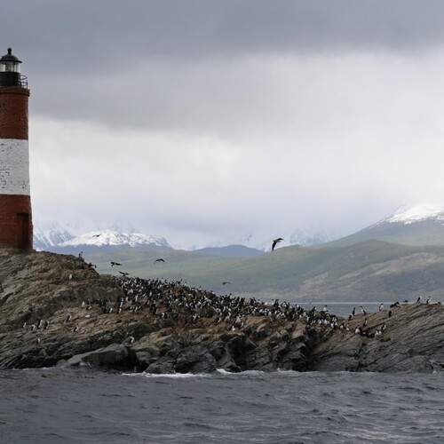 Photo #13082758