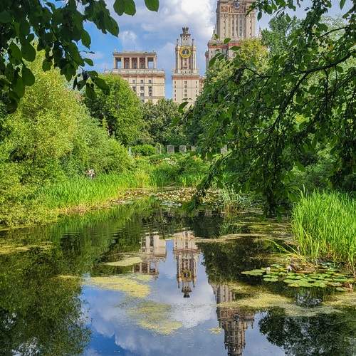 Photo #13082818