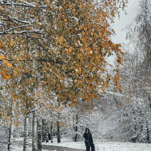 Photo #13082825