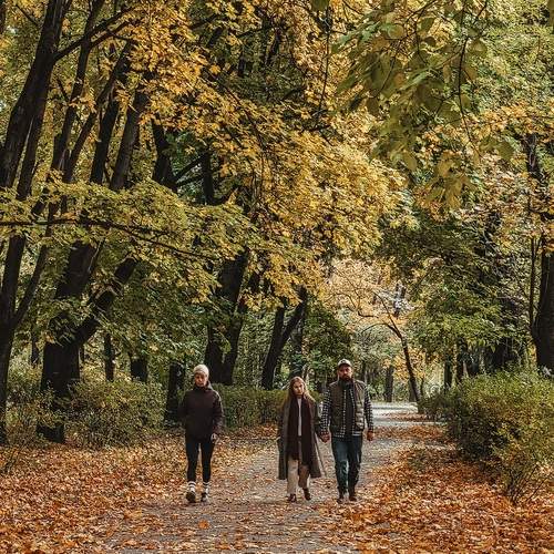 Photo #13082827
