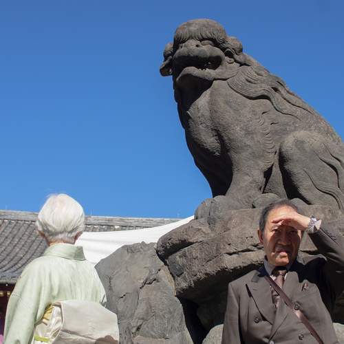 Photo #13082924