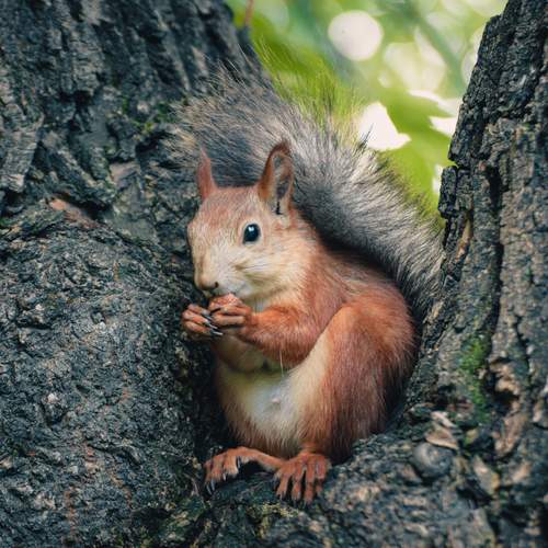 Photo #13082973