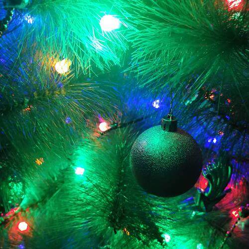 Photo #13083096
