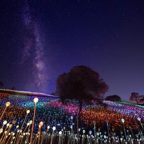 “Sensorio: A Symphony of Light, Music & Open Air—Beyond Any Image”