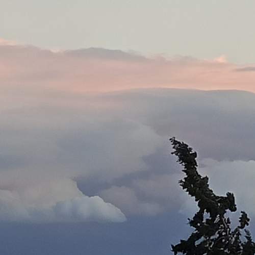 Photo #13083318