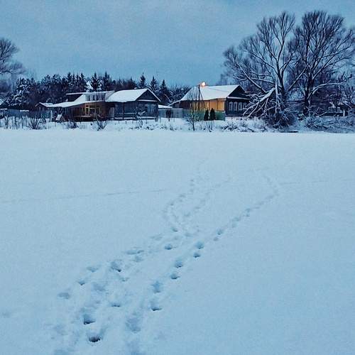 Photo #13083447