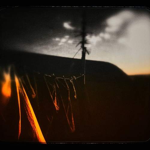 Photo #13083448