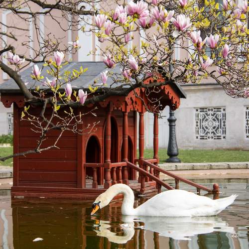 Photo #13083550