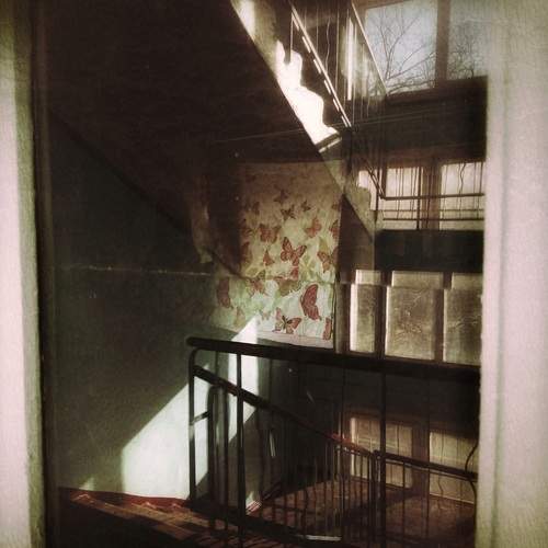 Photo #13083556