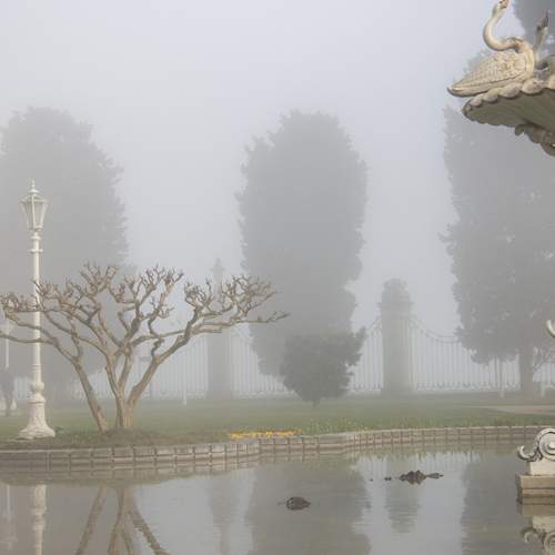Photo #13083561