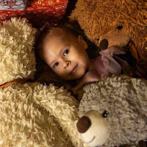 Photo #13083735