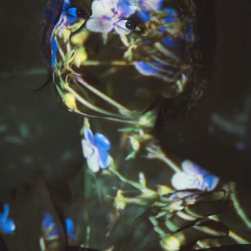Photo #13083788