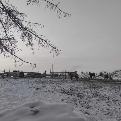 Photo #13083844